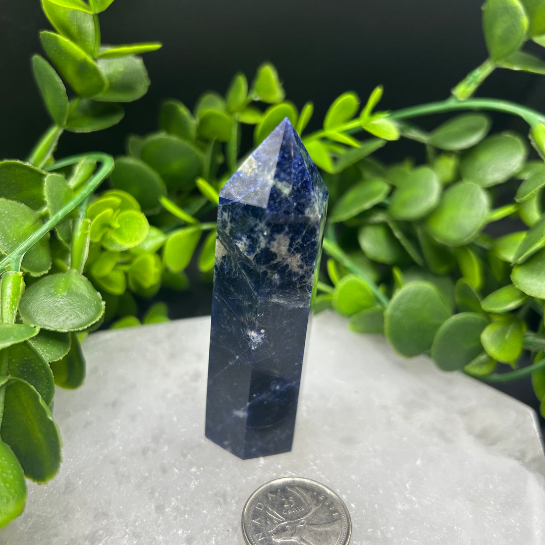 Sodalite Polished Point (#3)