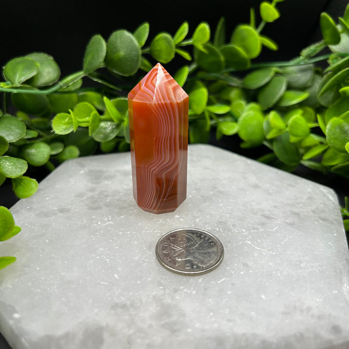 Carnelian Polished Point (#4)