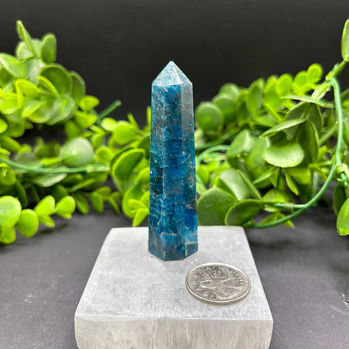 High Quality Blue Apatite Polished Point (#3)