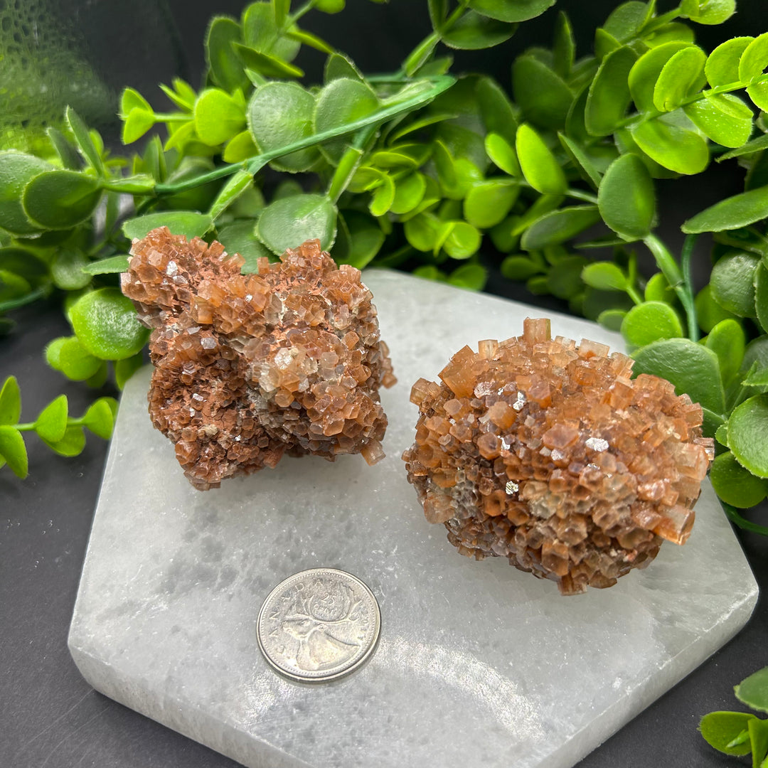 Aragonite Clusters (L)