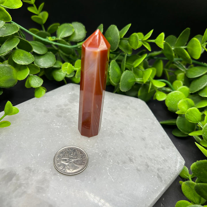 Carnelian Polished Point (#3)