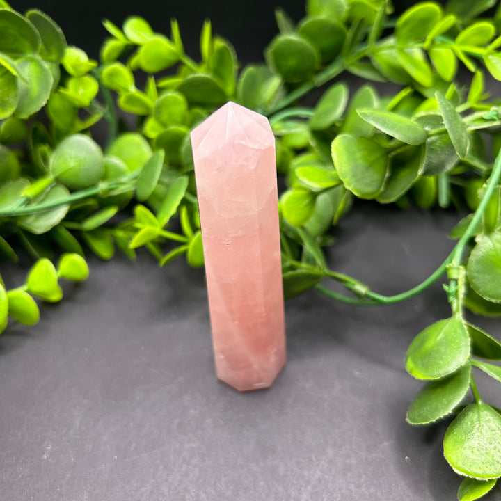 Rose Quartz Polished Point (#15)