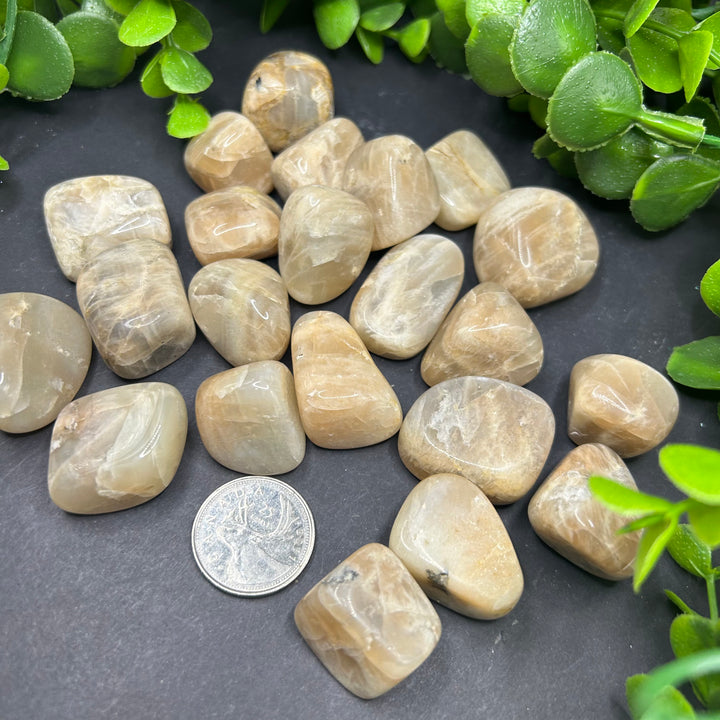 Moonstone Tumbled