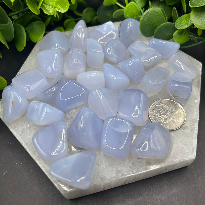 High Quality Blue Chalcedony Tumbled