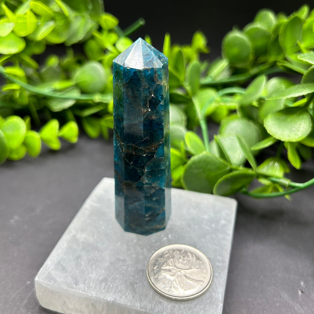 High Quality Blue Apatite Polished Point (#2)