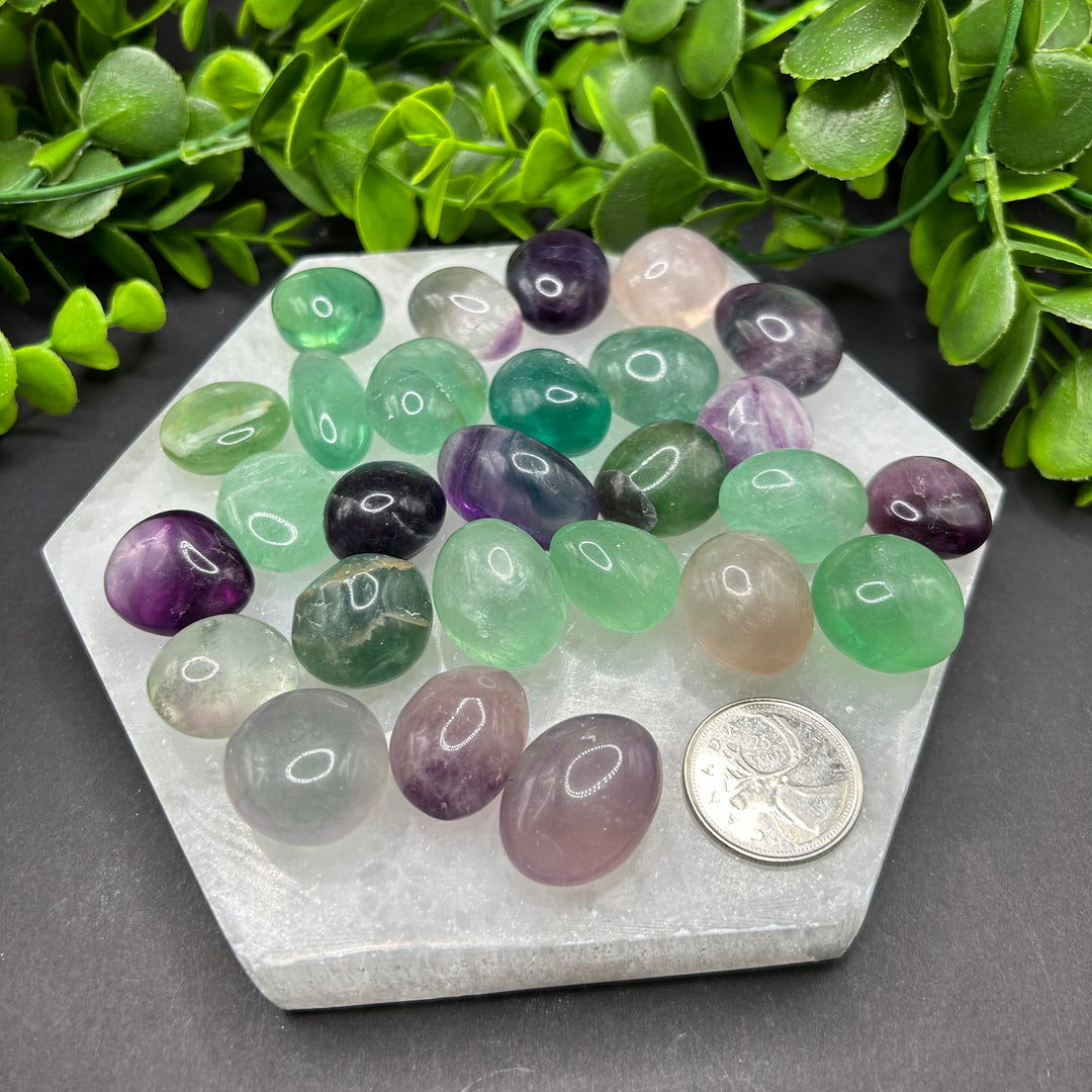 Fluorite Tumbled Stone (S)