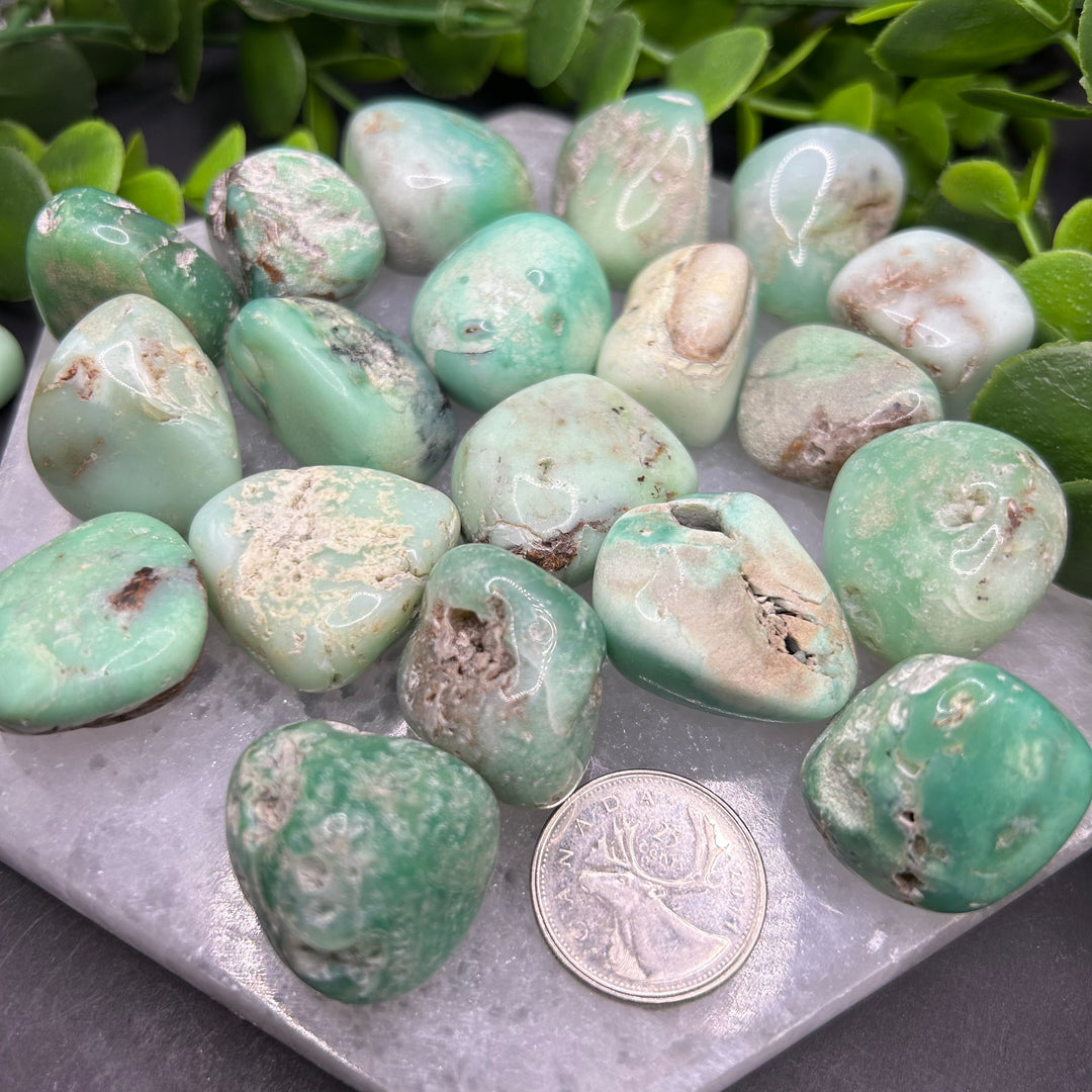 Chrysoprase Tumbled Stone (M-L)