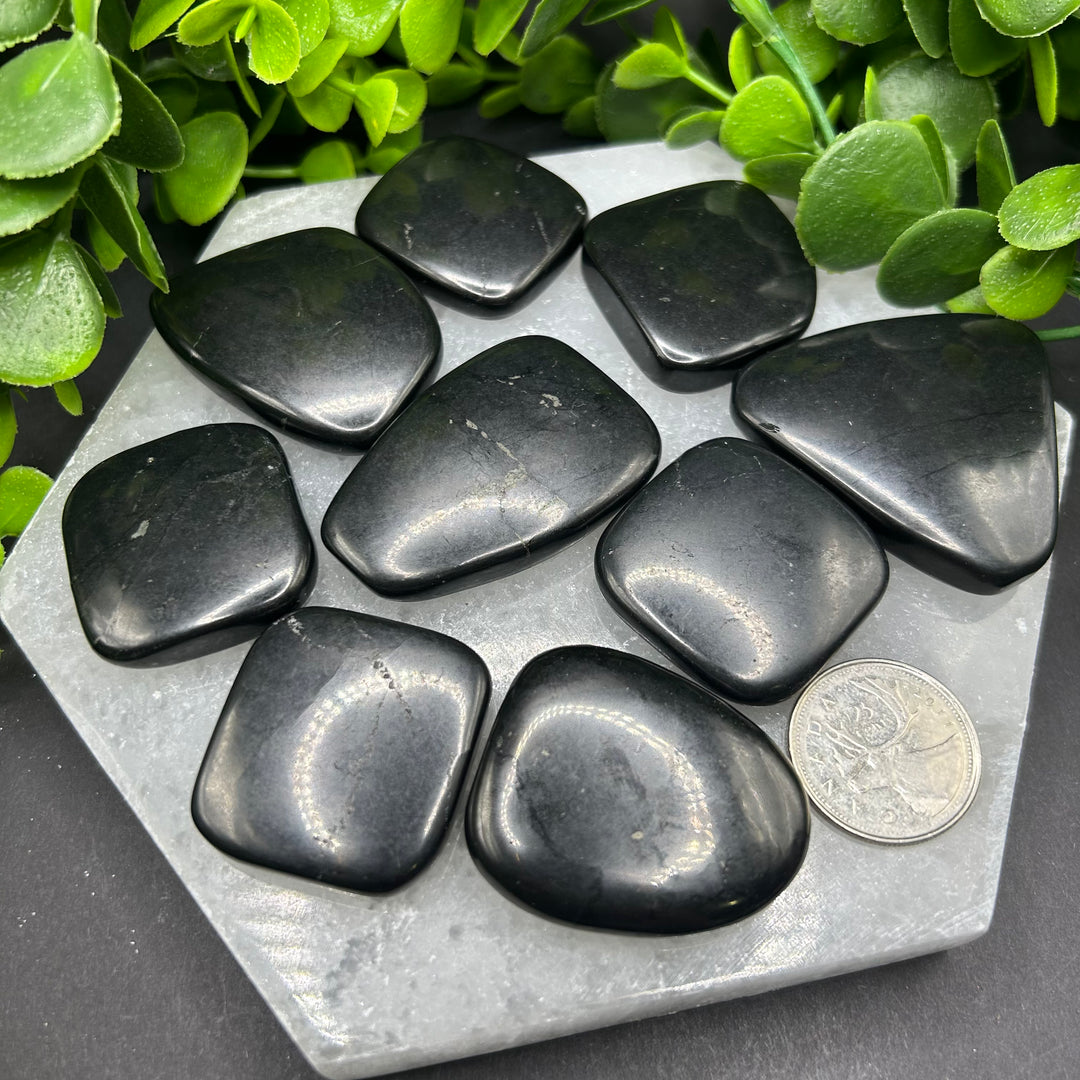 Shungite Palm Stones