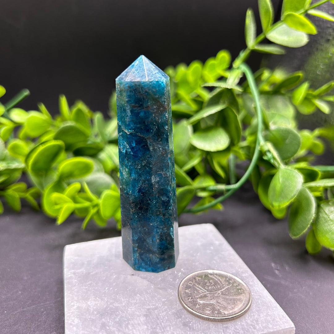 High Quality Blue Apatite Polished Point (#5)