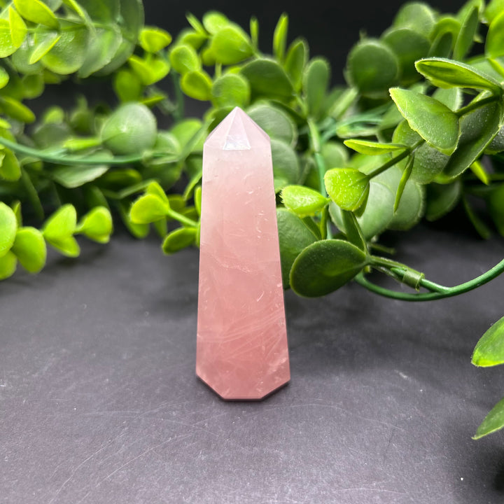 Rose Quartz Polished Point (#19)