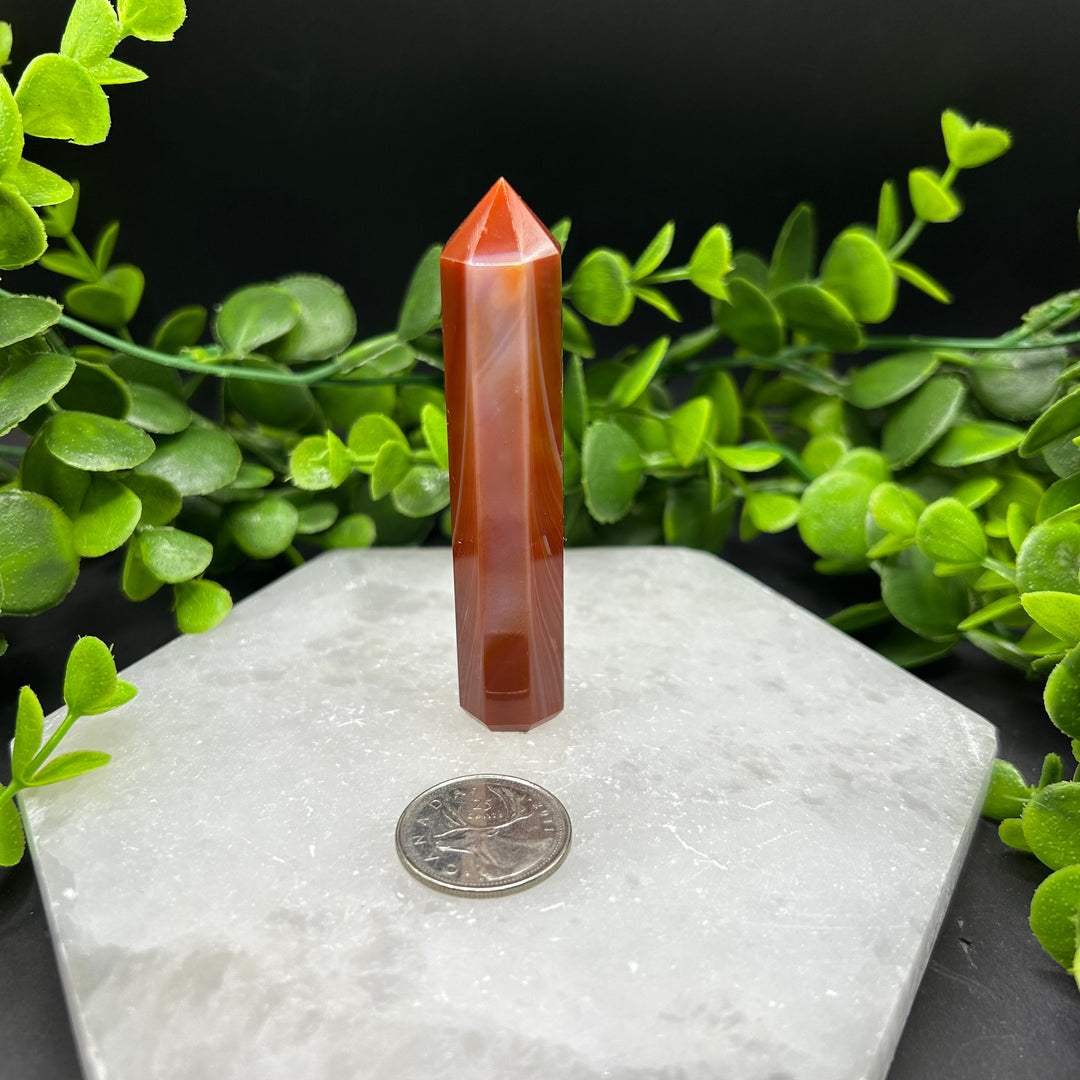 Carnelian Polished Point (#3)