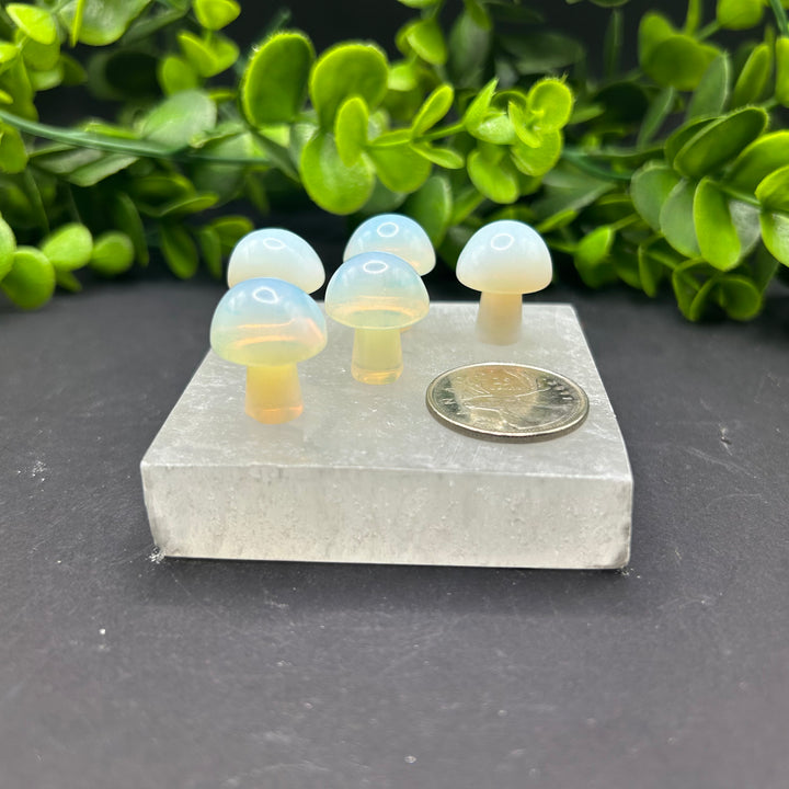 Opalite Mini Mushroom