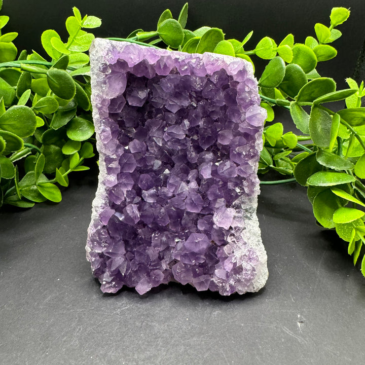 Amethyst Standing Cluster #2