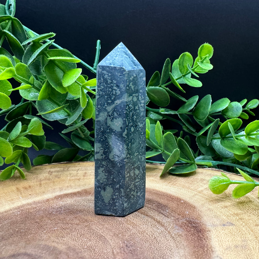 Kambaba Jasper Polished Point #5