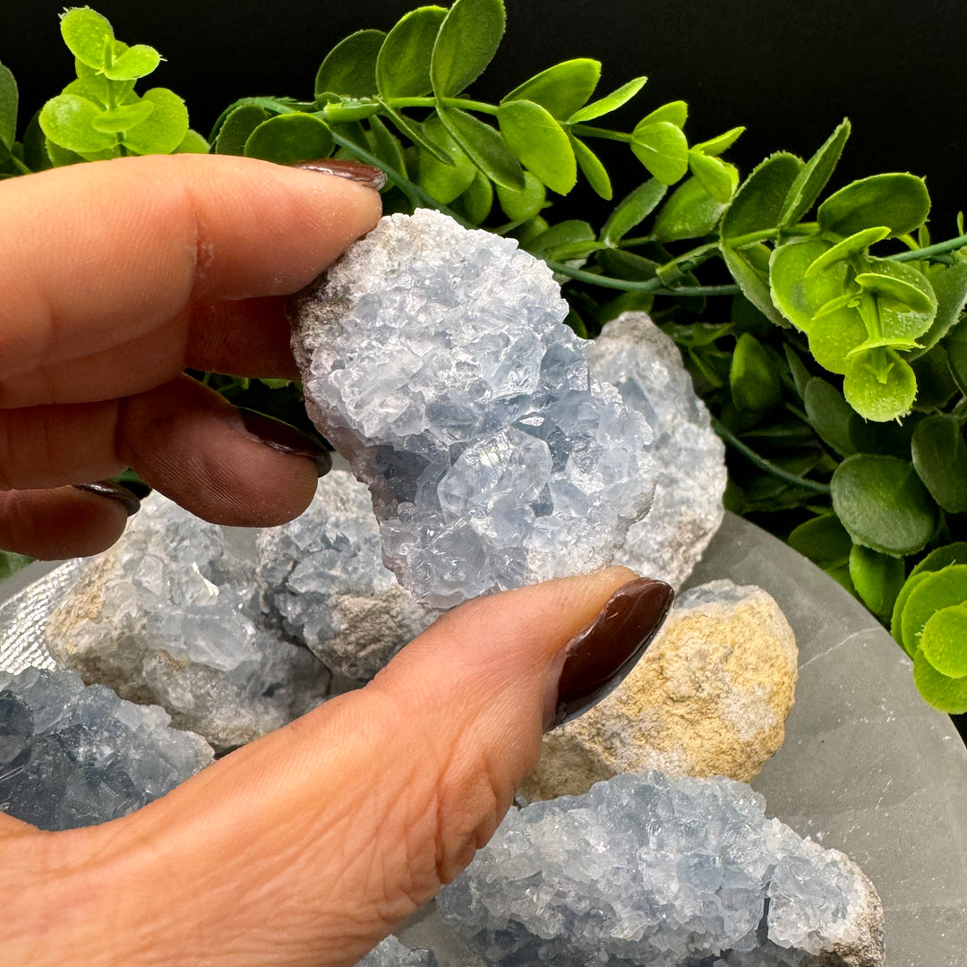 Celestite Geode Chunks (M)