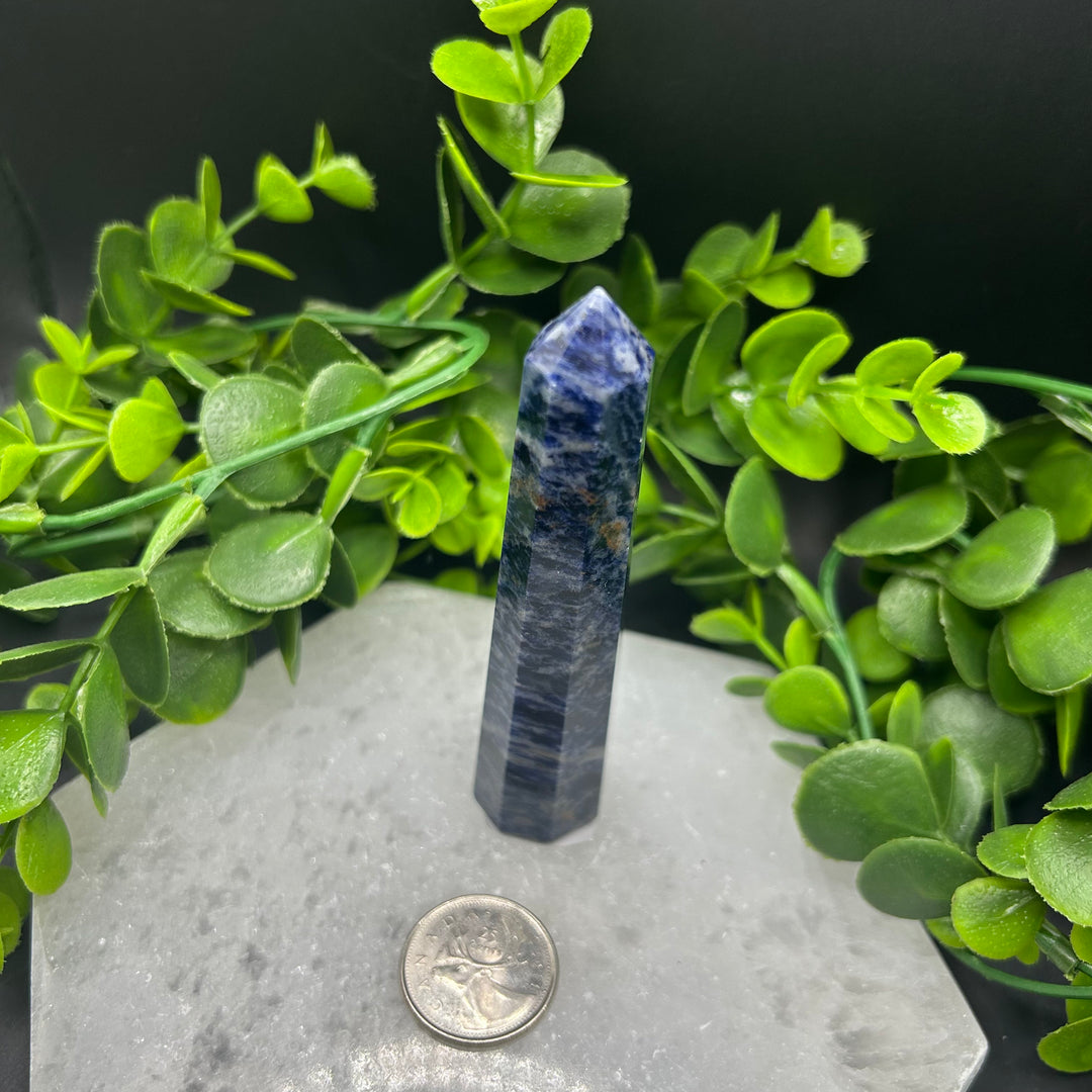 Sodalite Polished Point (#1)