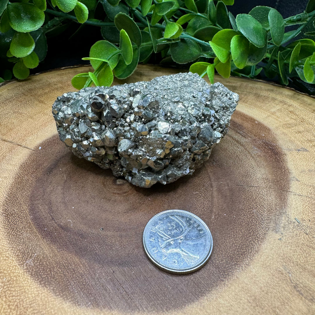 Pyrite Cluster #8- 319g