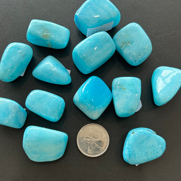 Blue Aragonite Tumbled Stone (M-L)