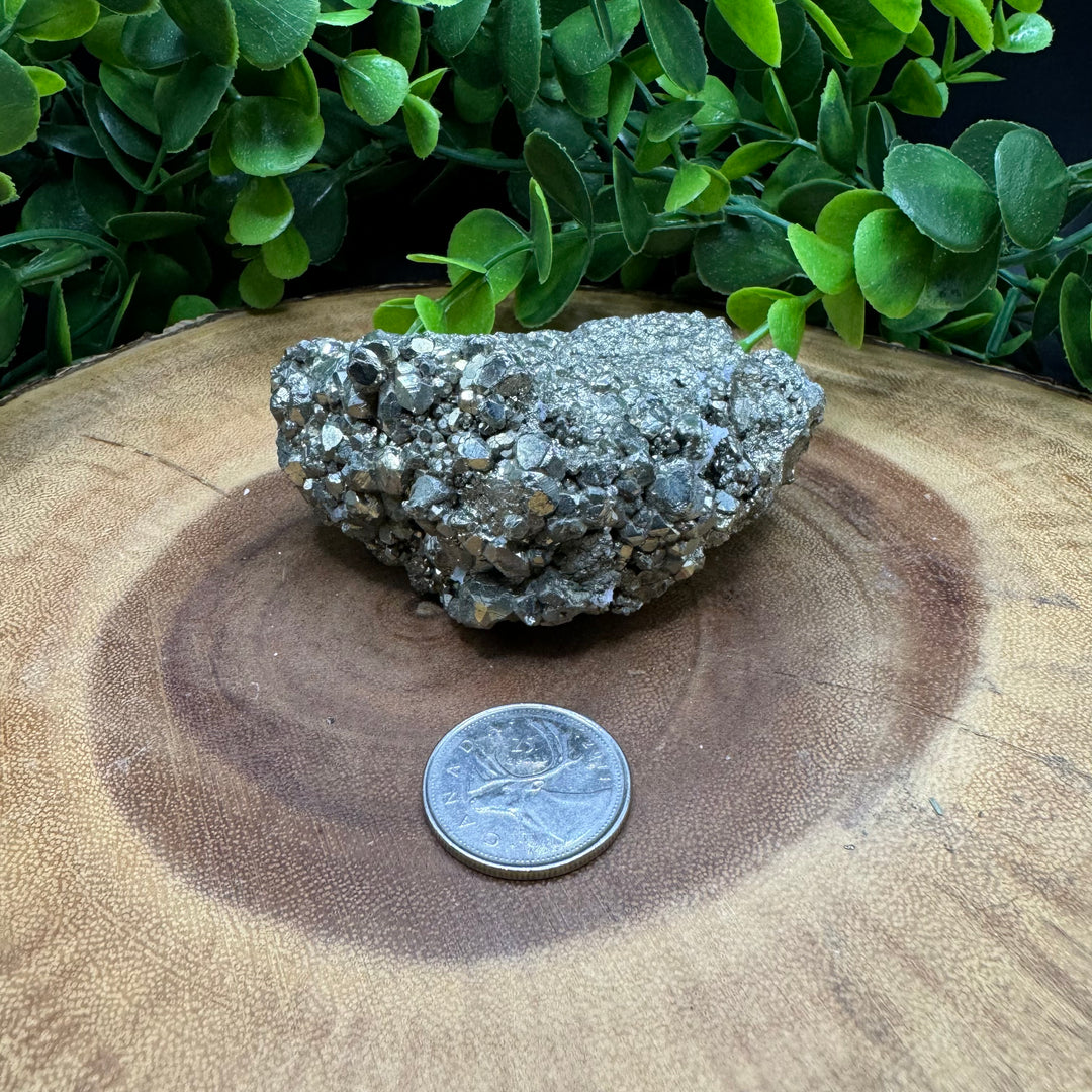 Pyrite Cluster #8- 319g