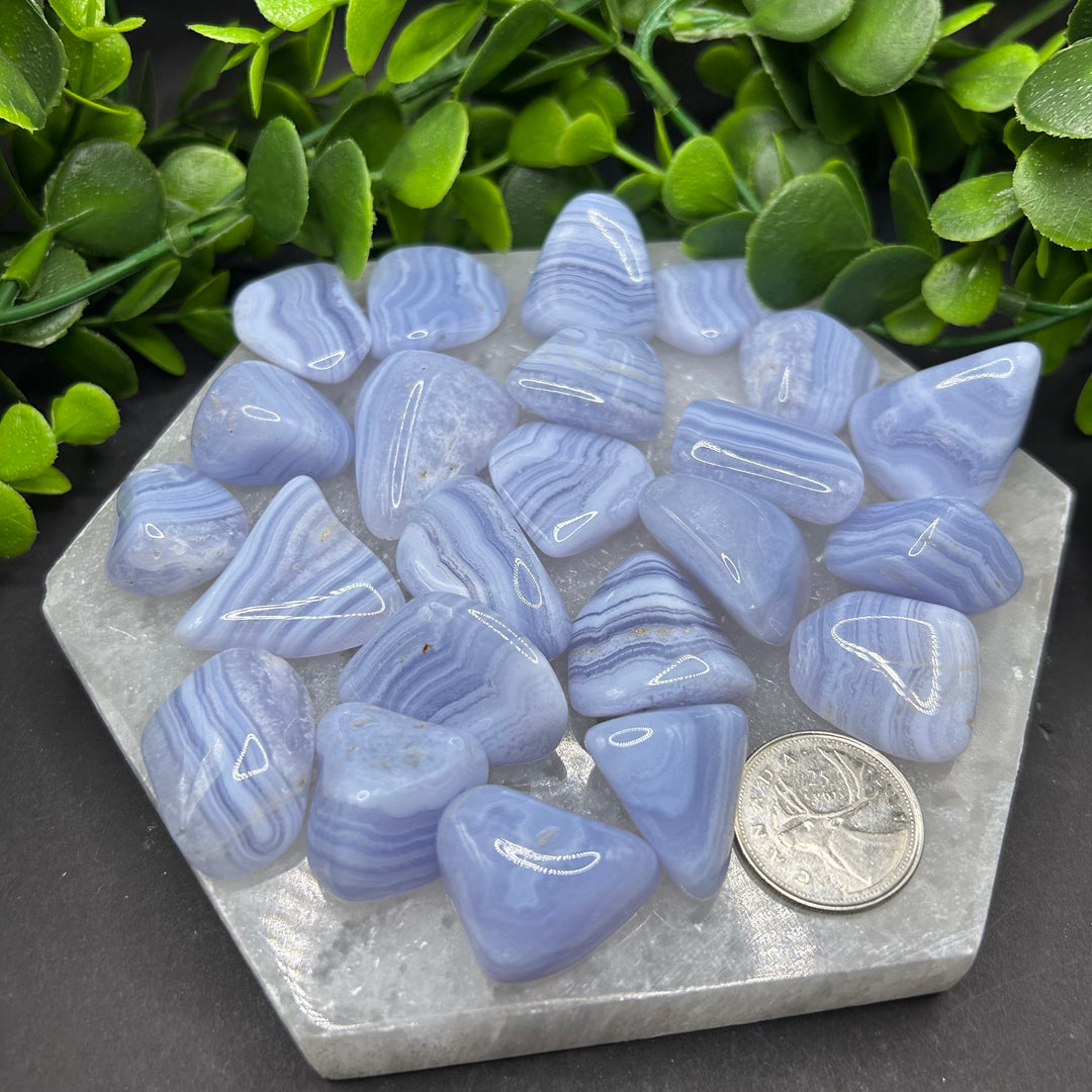 Blue Lace Agate Tumbled Healing Stone