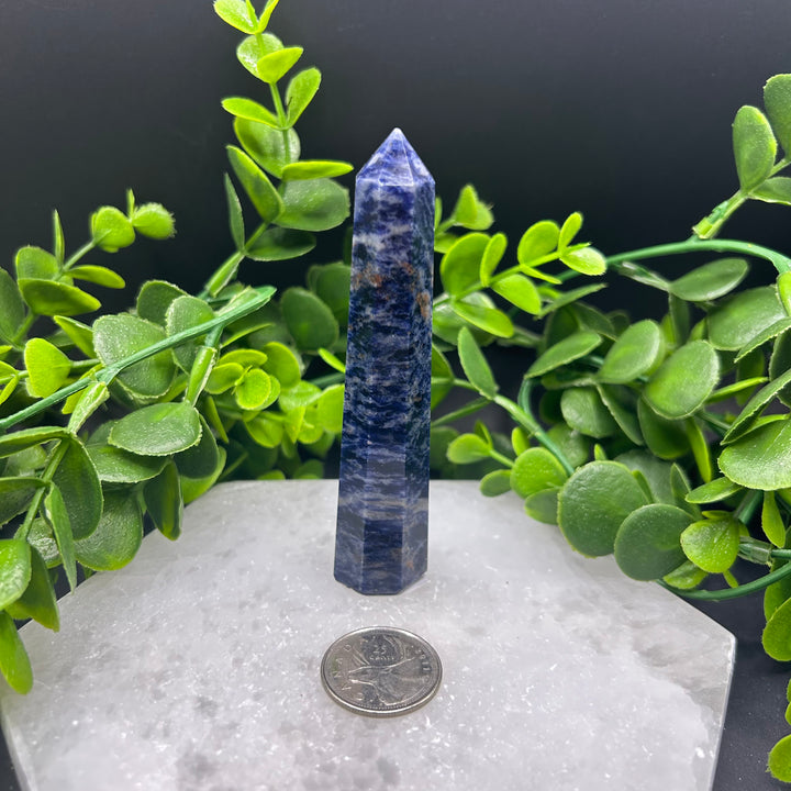 Sodalite Polished Point (#1)