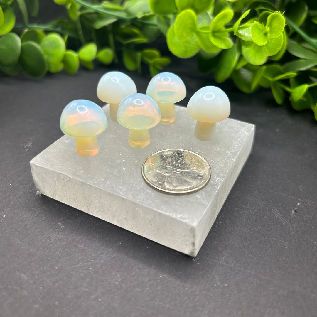 Opalite Mini Mushroom