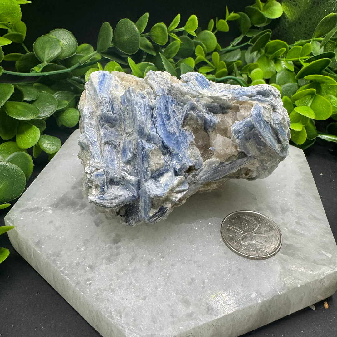 Blue Kyanite Cluster #9