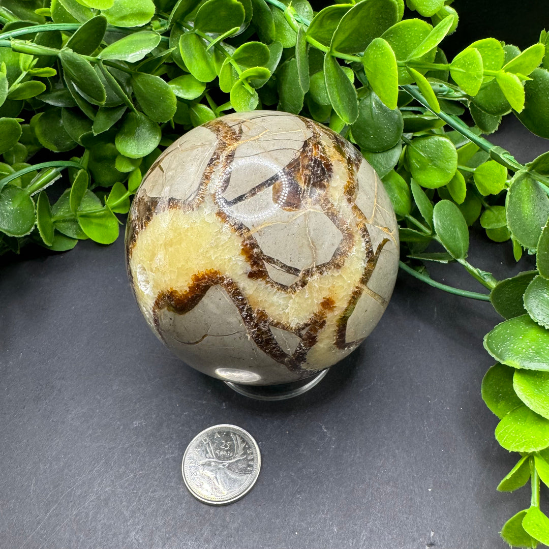 Septarian Sphere 80mm