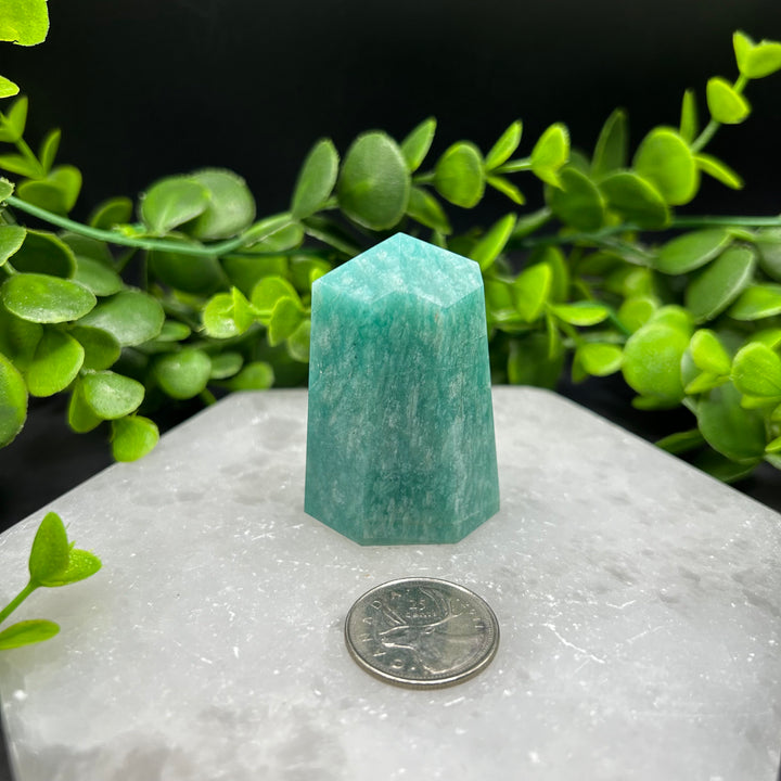 Amazonite Polished Point (#3)