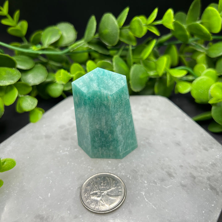 Amazonite Polished Point (#3)