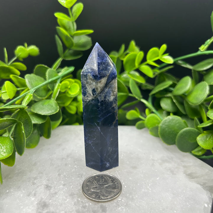 Sodalite Polished Point (#3)