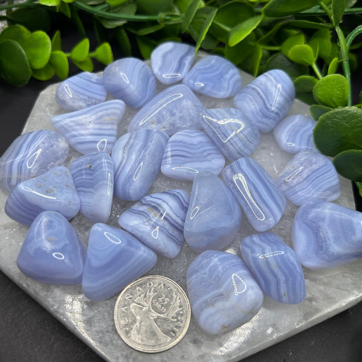 Blue Lace Agate Tumbled Healing Stone