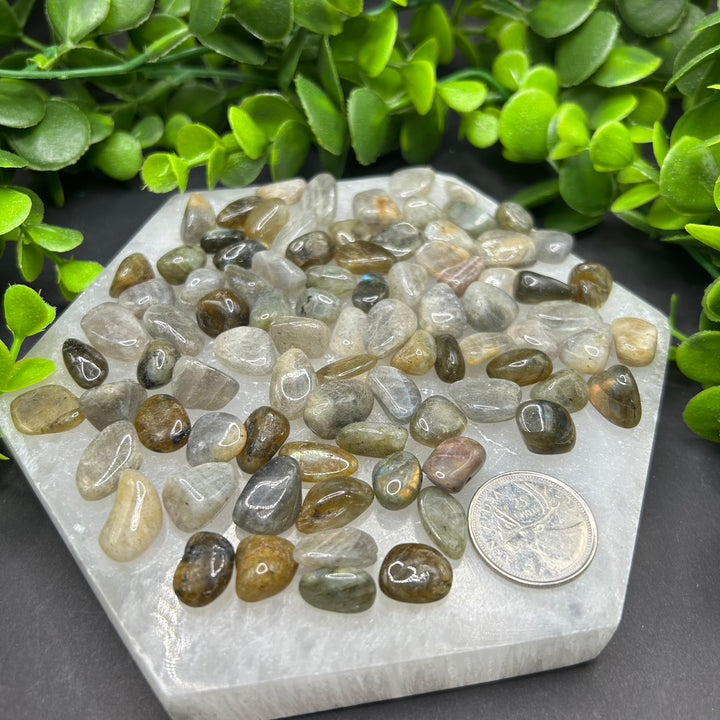 Labradorite Tumbled (XS)