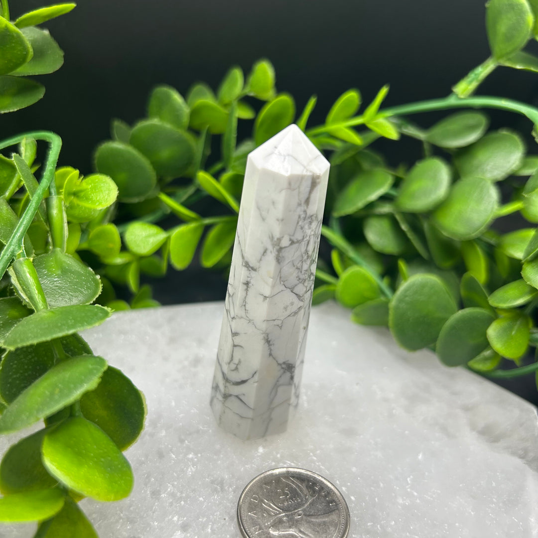 Howlite Polished Point (#2)