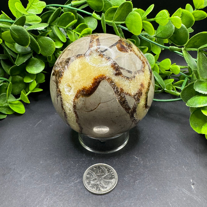 Septarian Sphere 80mm