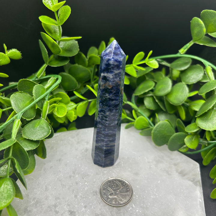 Sodalite Polished Point (#1)