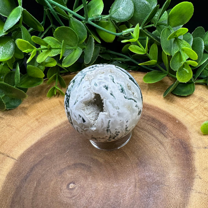 Tree Agate Sphere 45mm