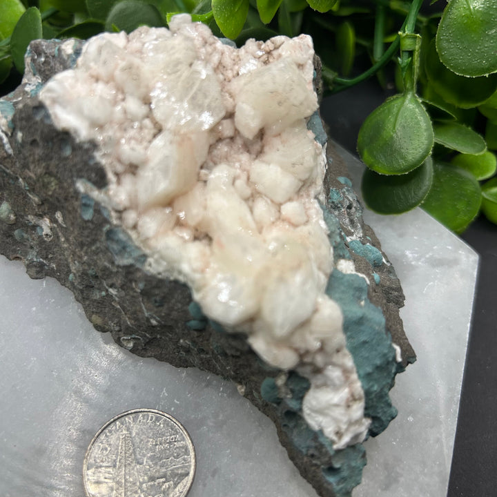 Apophyllite Zeolite Cluster(#19)