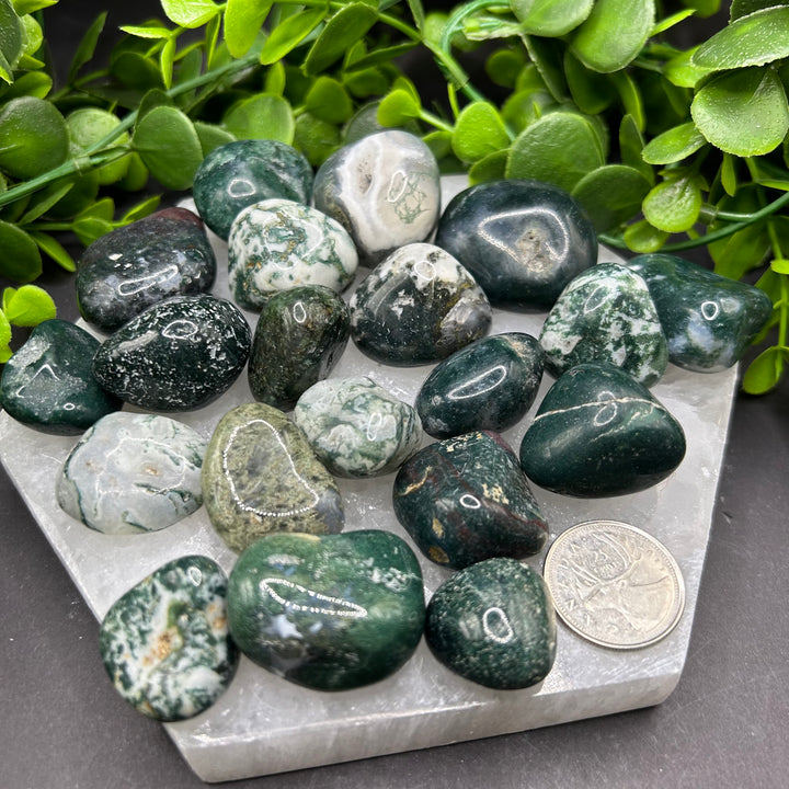 Moss Agate Tumbled