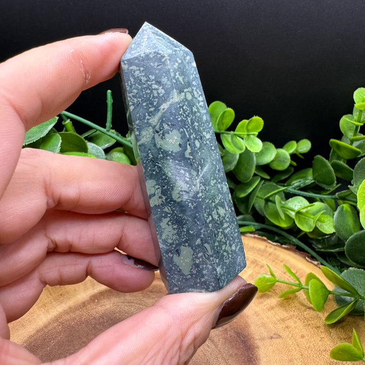 Kambaba Jasper Polished Point #5