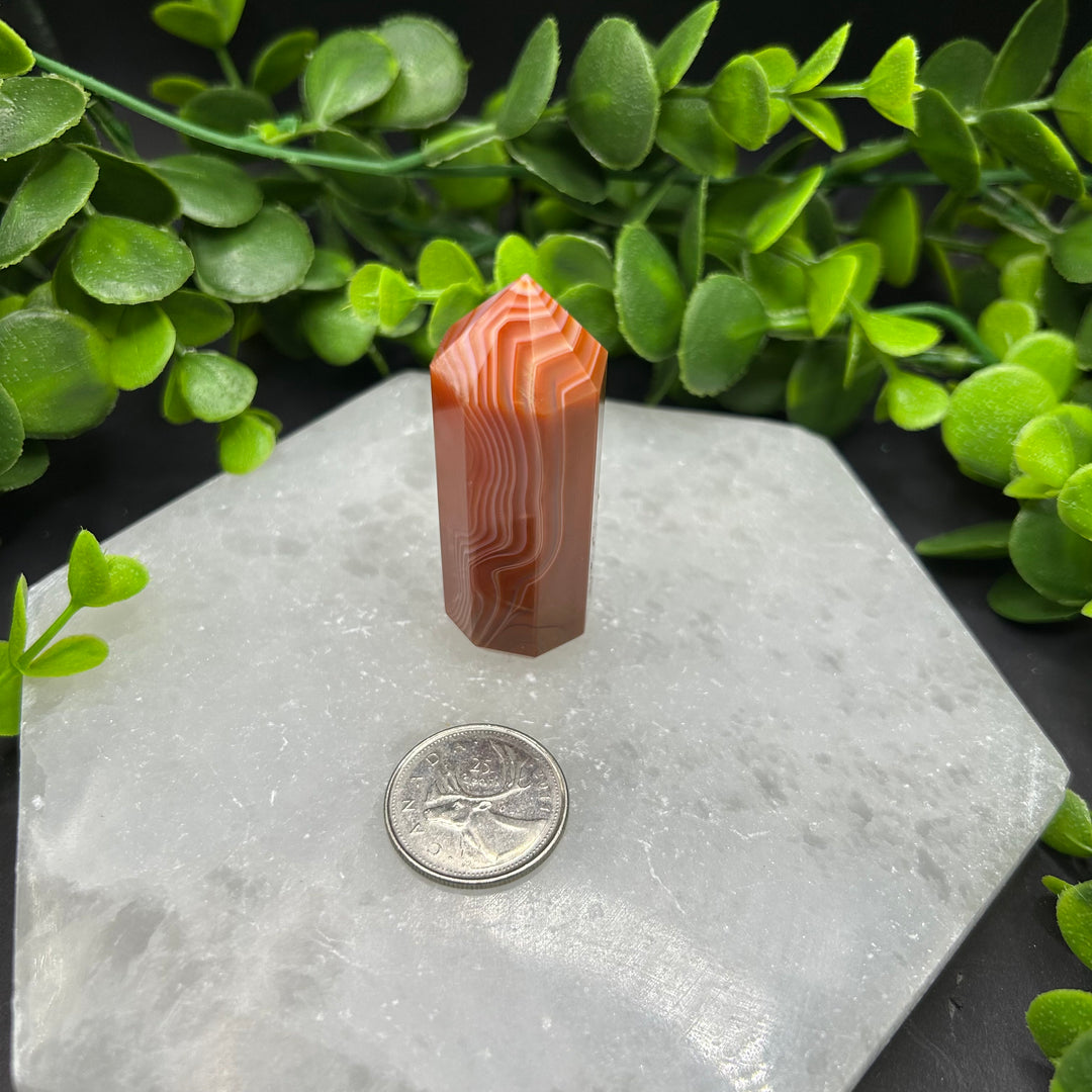 Carnelian Polished Point (#4)