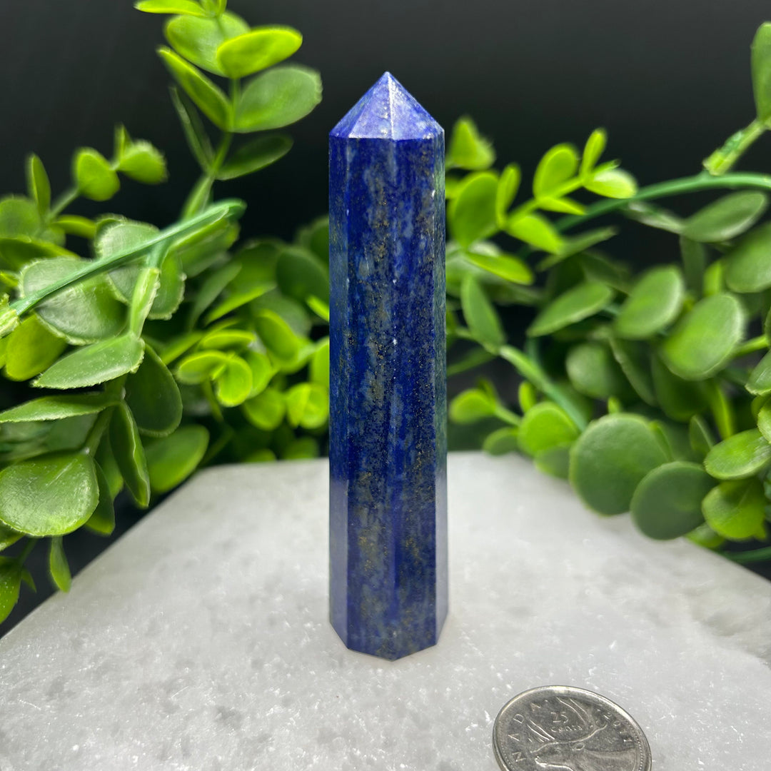 Lapis Lazuli Polished Point (#1)