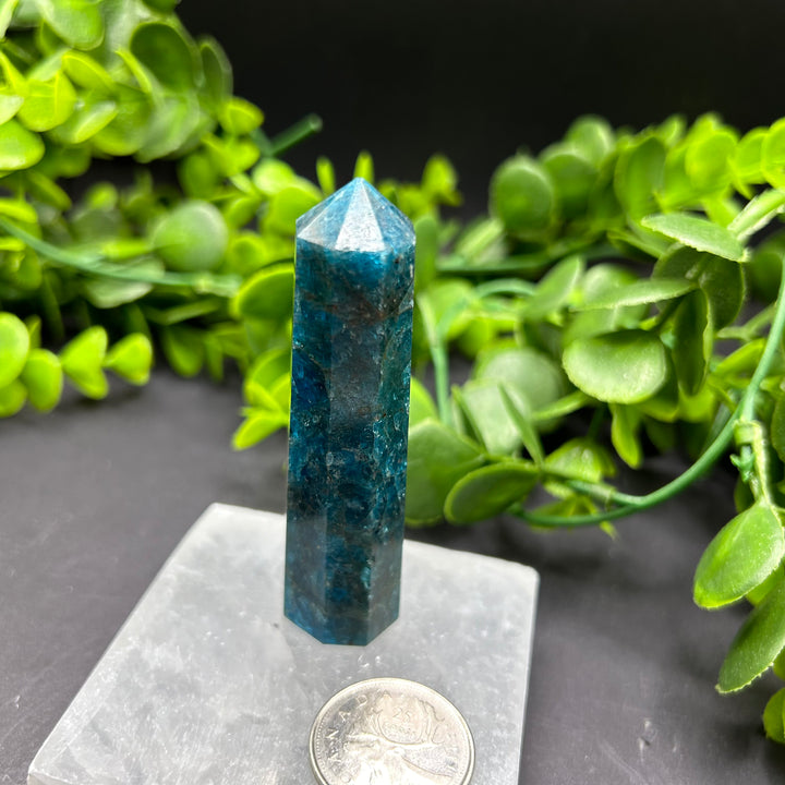 High Quality Blue Apatite Polished Point (#5)