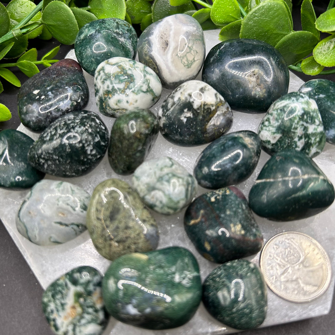 Moss Agate Tumbled