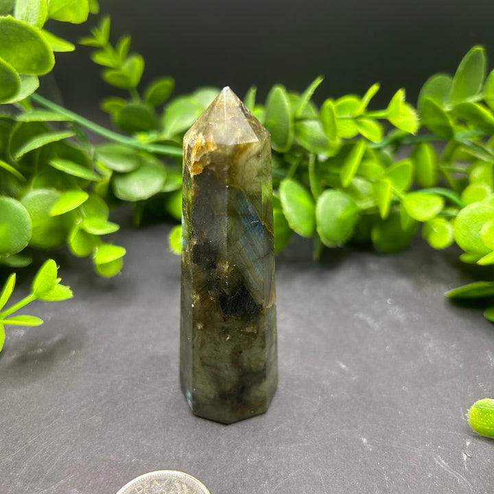 Labradorite Polished Point (#3)