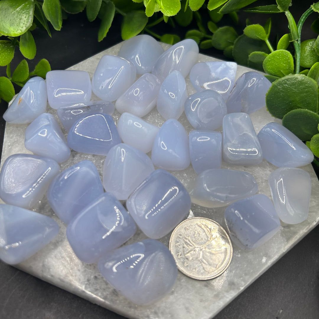 High Quality Blue Chalcedony Tumbled