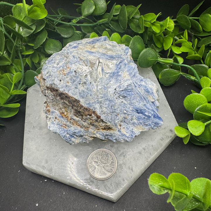 Blue Kyanite Cluster #3