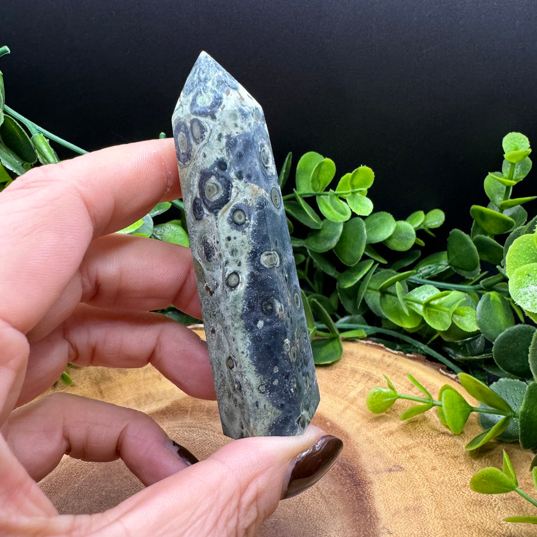 Kambaba Jasper Polished Point #4