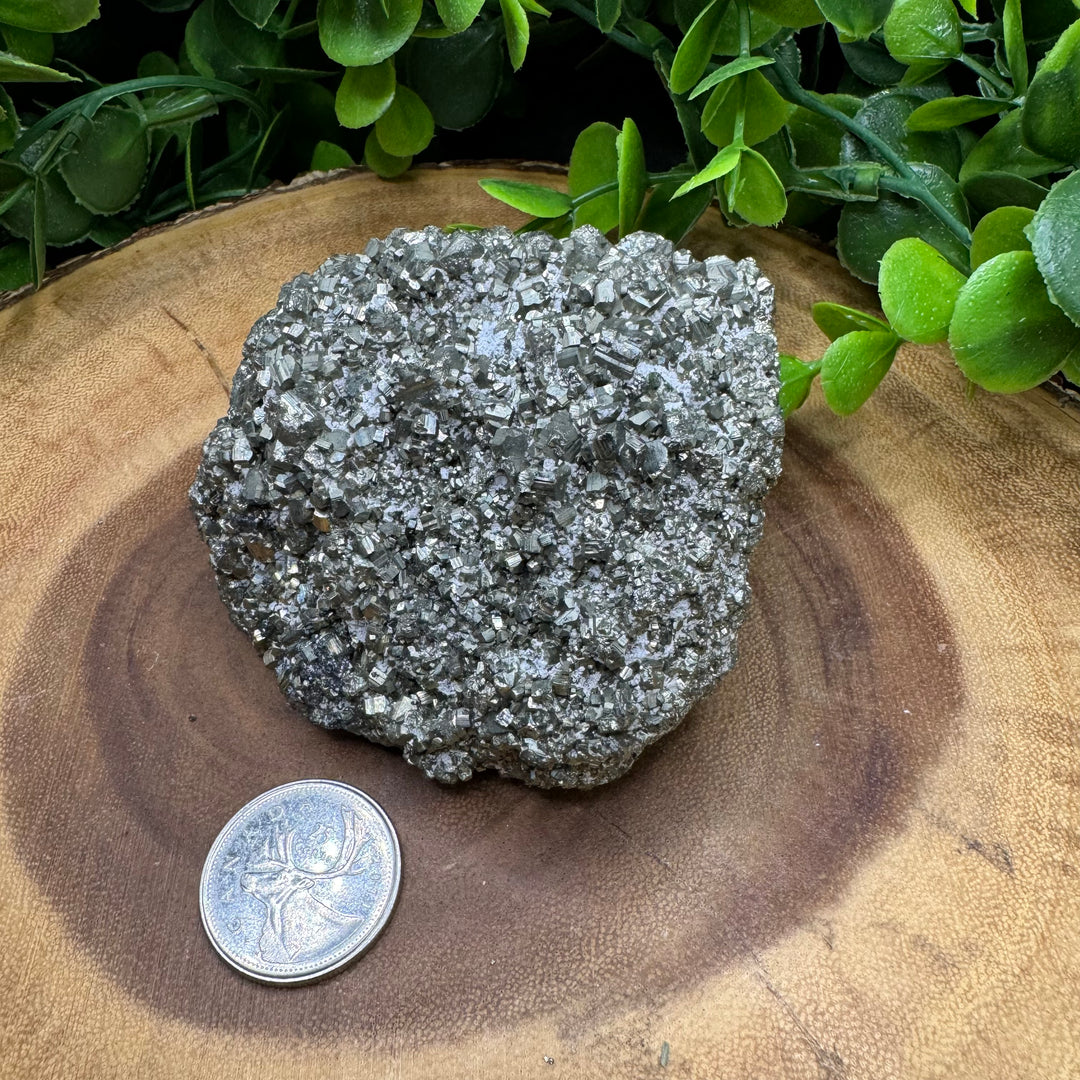 Pyrite Cluster #1 - 566g