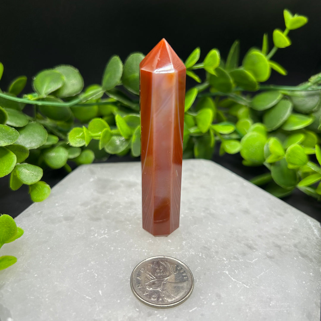 Carnelian Polished Point (#3)